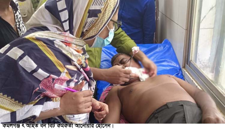 কমলগঞ্জের লাউয়াছড়ায় গাছ চোরের দায়ের কুপে বিট কর্মকর্তা আহত