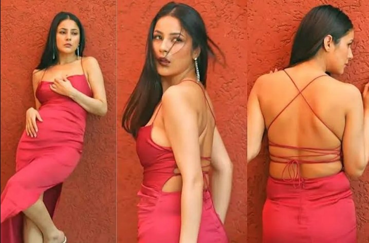 নতুন প্রেমে শেহনাজ