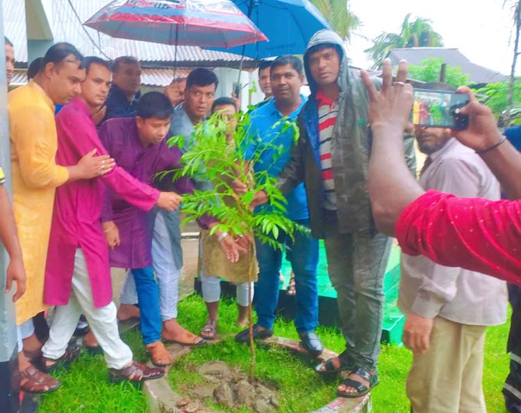 বেতাগীতে উপজেলা যুবলীগের উদ্যোগে বৃক্ষ রোপণ কর্মসূচী পালিত