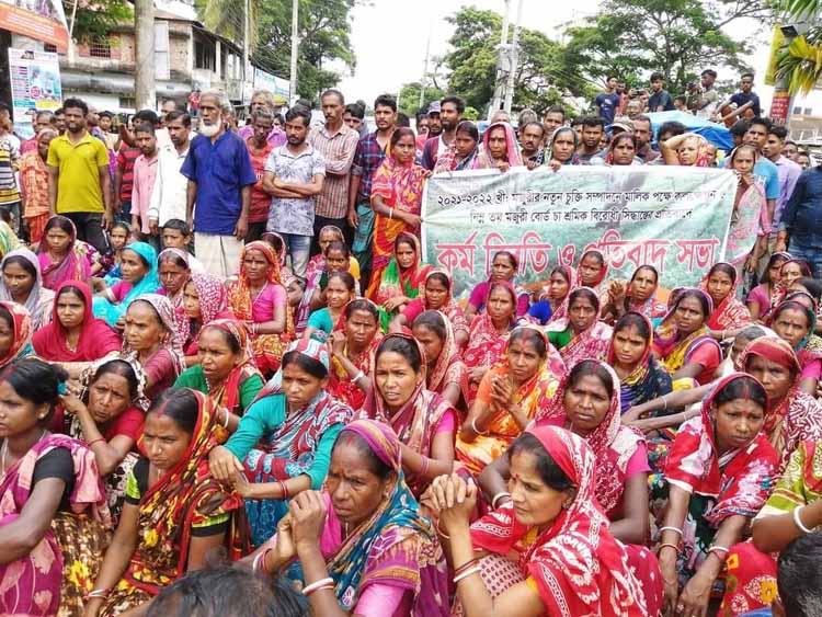 ১৯ মাসেও বাস্তবায়ন হয়নি চা শ্রমিকদের মজুরি বৃদ্ধির চুক্তি মজুরি সংক্রান্ত সমস্যা নিরসনে শ্রীমঙ্গলে আসছেন শ্রম অধিদপ্তরের মহাপরিচালক 