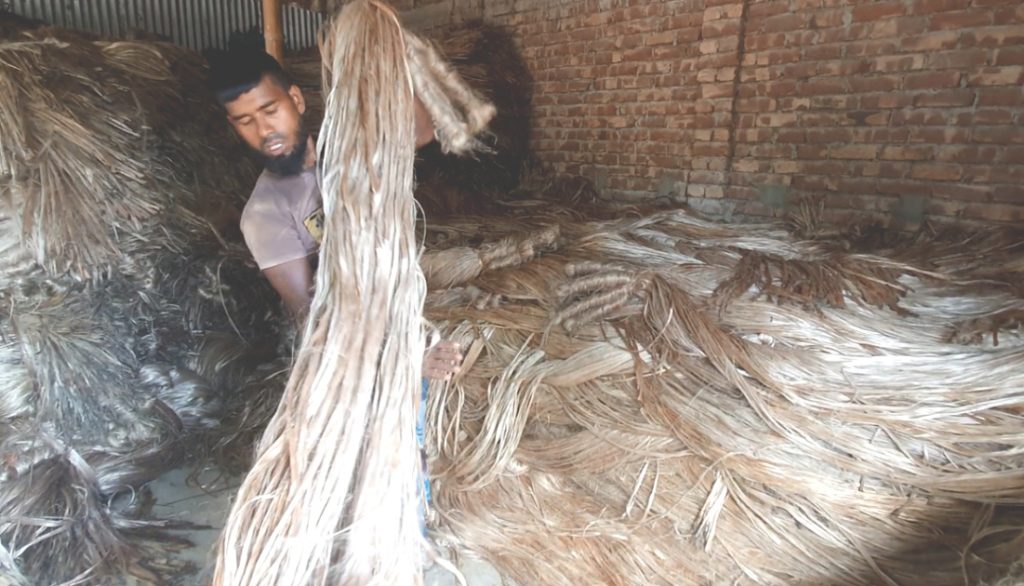 পাটের দাম নিয়ে হতাশ চাষিরা