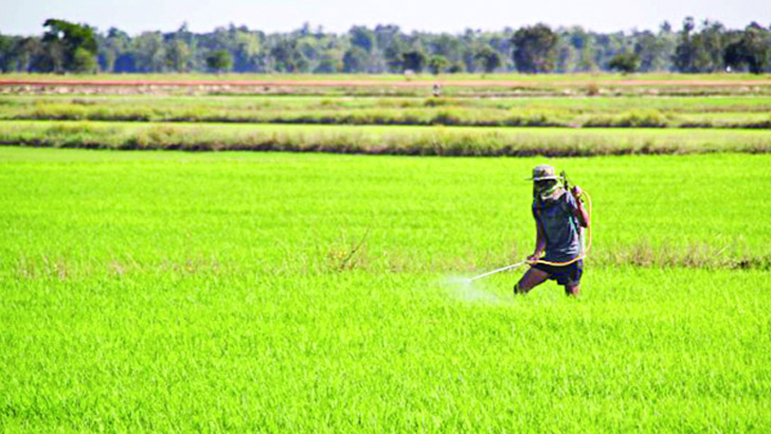 কঠিন প্রতিবন্ধকতার মুখে বালাইনাশক উৎপাদনে দেশীয় প্রতিষ্ঠানগুলো