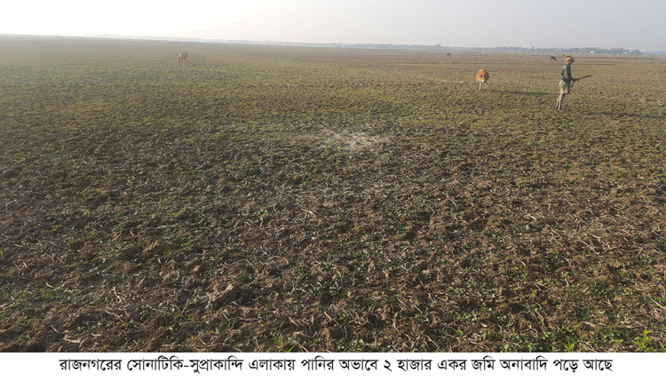 পানি সংকটে কারবালার মাতম চলছে রাজনগরে ৩ হাজার একরেরও বেশি জমি অনাবাদি