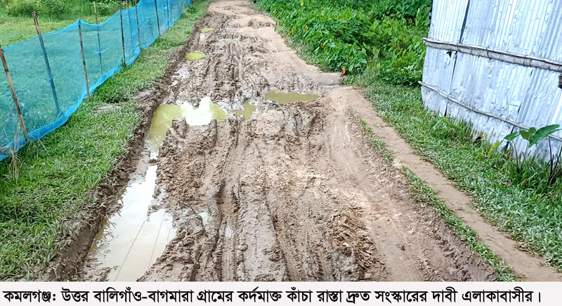 কমলগঞ্জে কর্দমাক্ত কাঁচা সড়কে জনভোগান্তি: চরম দুর্ভোগে গ্রামবাসী