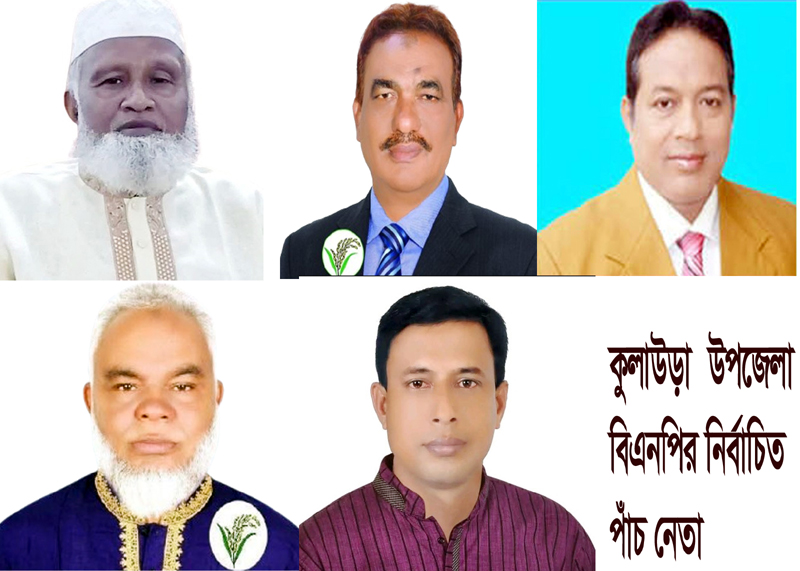 কুলাউড়া বিএনপির কাউন্সিলে ছাত্রদলের সাবেক পাঁচ নেতার জয় জয়কার