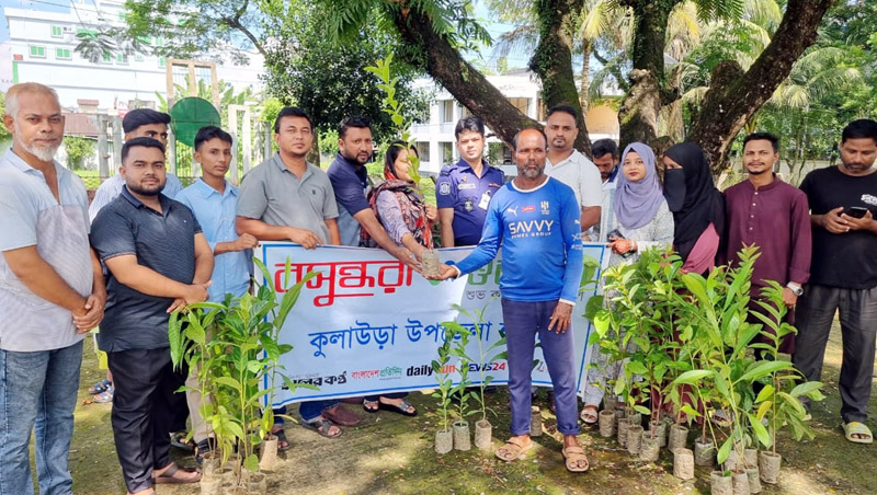 কুলাউড়ায় ফলজ গাছের চারা বিতরণ করলো শুভসংঘ
