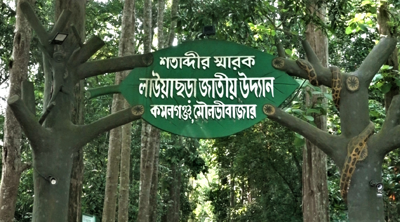 লাউয়াছড়া জাতীয় উদ্যানে কমেছে প্রাণীর বিচরণ