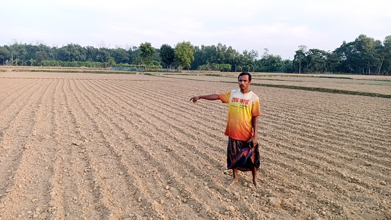 হাজীপুরে আদালতের নির্দেশনা ভঙ্গ করে কৃষকদের জমিতে ফসল রোপণ!