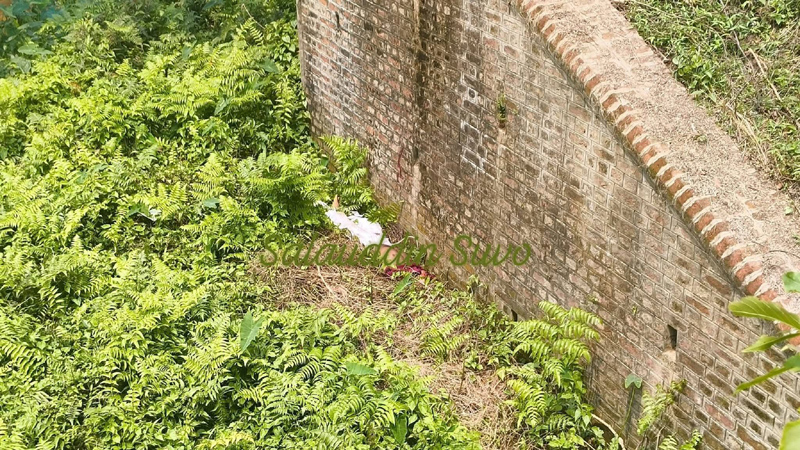 ট্রেনের ছাদ থেকে পাহাড় দেখতে গিয়ে,,,,