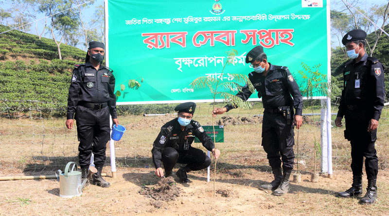 মুজিব জন্মশতবার্ষিকীতে র‌্যাবের বৃক্ষ রোপন (ভিডিওসহ)