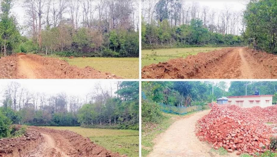 জুড়ীর লাঠিটিলা সংরক্ষিত বনে পাকা রাস্তা-কাজ বন্ধে ১১ জনকে বেলার আইনি নোটিশ