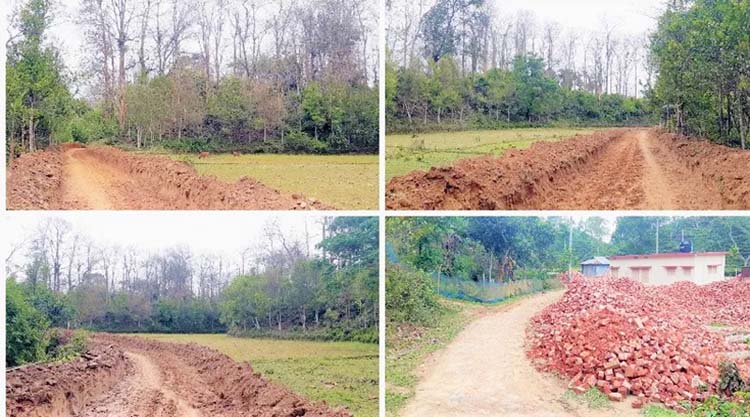 লাঠিটিলা সংরক্ষিত বনে রাস্তার কাজ বন্ধে এলজিইডির চিঠি