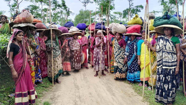 কমলগঞ্জে চুরিতে বাঁধা দেয়ায় হামলা; বাগান চৌকিদার আহত ॥ শ্রমিকদের প্রতিবাদ ও কর্মবিরতি