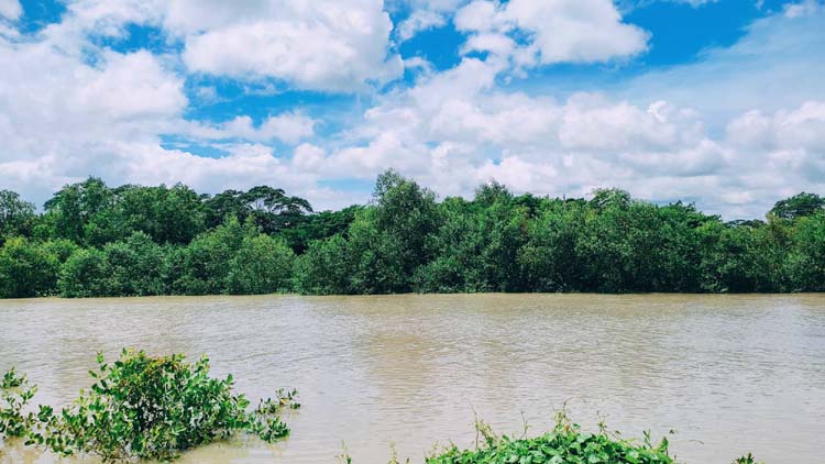 অপরুপ সৌন্দর্যমন্ডিত ছৈলারচর-সম্ভাবনাময় পর্যটন কেন্দ্র