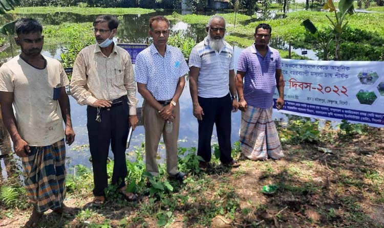 ফেঞ্চুগঞ্জে ভাসমান বেডে বছরব্যাপী মসলা চাষ শীর্ষক মাঠ দিবস