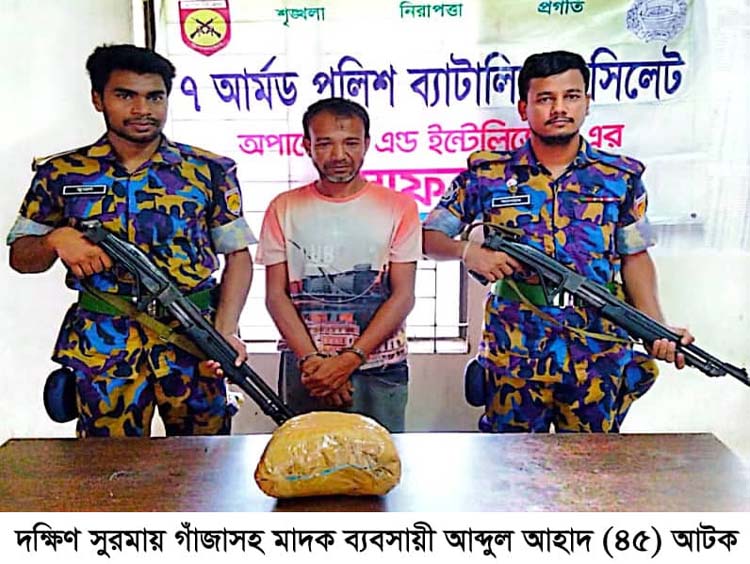 দক্ষিণ সুরমায় গাঁজাসহ মাদক ব্যবসায়ী আটক
