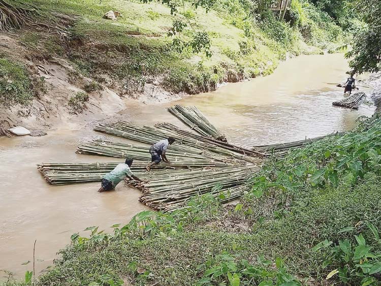 কুলাউড়ায় বিট বন কর্মকর্তা মোঃ আহমদ আলীর সাহসী অভিযান