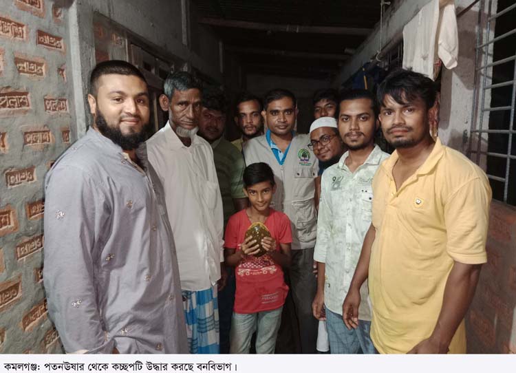 কমলগঞ্জে কচ্ছপ উদ্ধারের পর অবমুক্ত