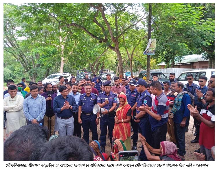 ডিসি-এসপির আশ্বাসে মৌলভীবাজারে চা শ্রমিকরা কাজে ফিরেছে