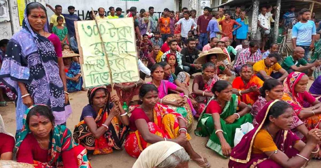 চা শ্রমিকদের ধর্মঘট প্রত্যাহার, আগের মজুরিতেই ফিরছেন কাজে