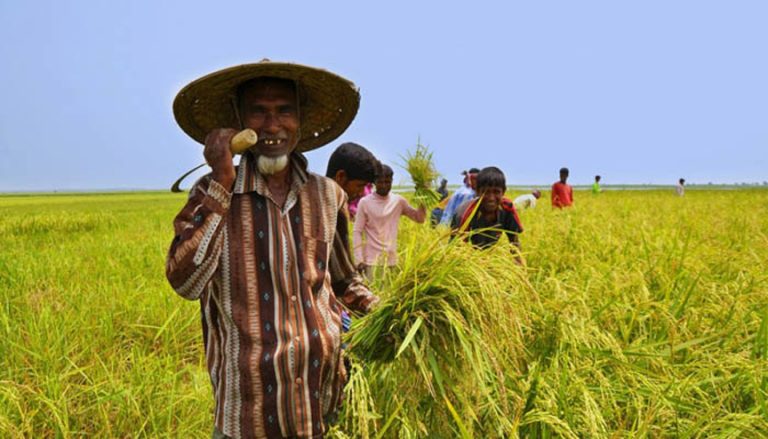 কৃষি উৎপাদন বাড়াতে গ্রামে ঋণ প্রবাহ বাড়ানোর ব্যাপক উদ্যোগ