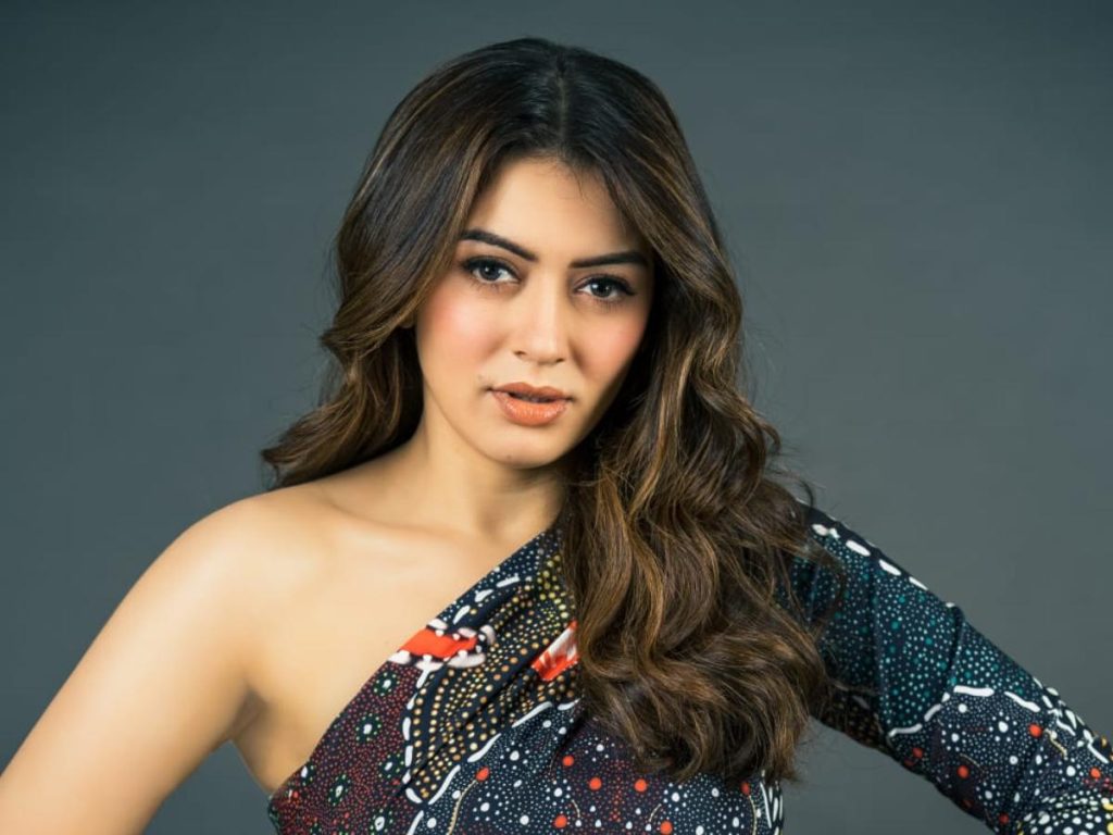 হানসিকার বিয়ের রাজকীয় প্রস্তুতি চলছে