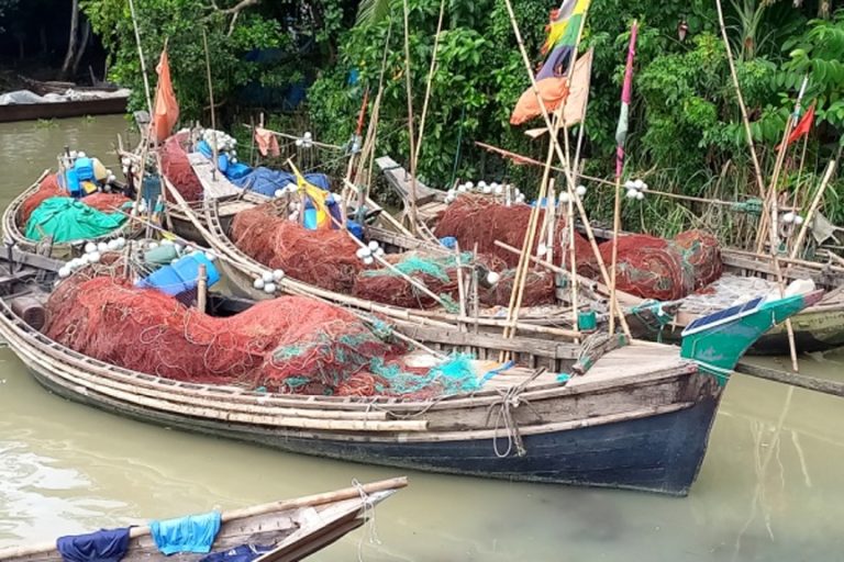 চাঁদপুরে ইলিশ ধরার ওপর ২২ দিনের সরকারি নিষেধাজ্ঞা শেষ হচ্ছে আজ