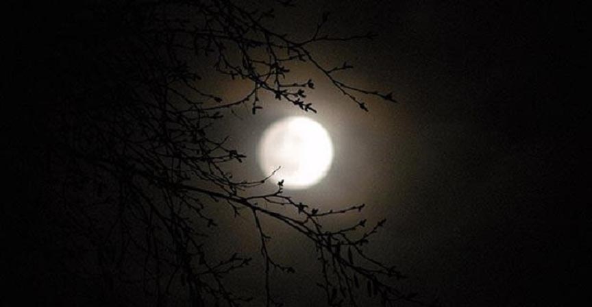 কমছে রাতের তাপমাত্রা