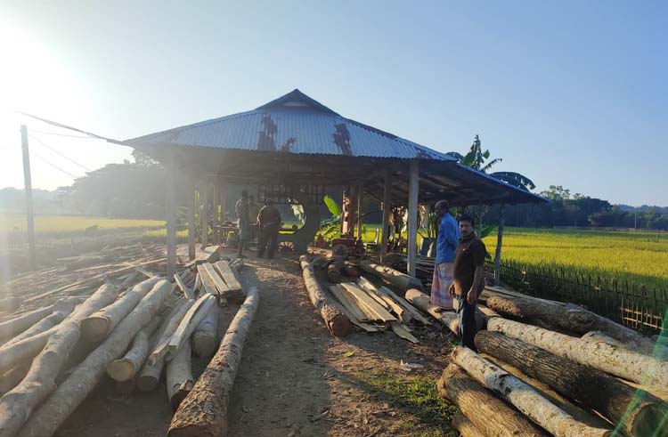 জুড়ীতে করাতকল দখলের অভিযোগ