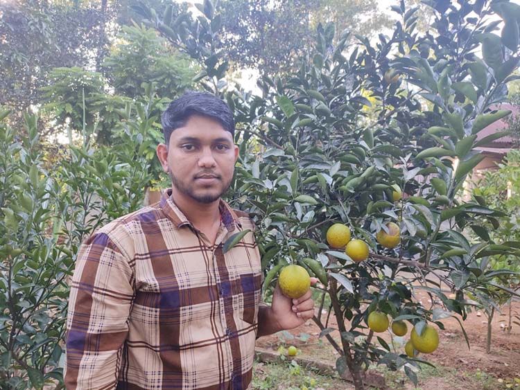 জুড়ীতে মাল্টা চাষে স্বপ্ন বুনছে সুজন