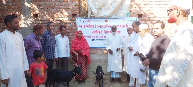 জুড়ীর হাকালুকি হাওর এলাকায় প্রতিবেশ প্রকল্পের ছাগল বিতরণ