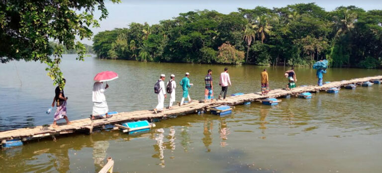 নড়বড়ে হয়ে গেছে ভাসমান কাঠের সেতু, কলাপাড়ার ঝুঁকি নিয়ে পার হচ্ছে ৫ গ্রামের মানুষ
