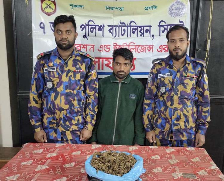 ওসমানীনগরে ৭ এপিবিএনের অভিযানে গাজাসহ আটক ১