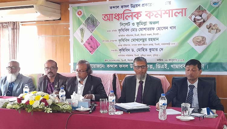 সিলেটে কন্দাল ফসল উন্নয়ন প্রকল্পের আঞ্চলিক কর্মশালা