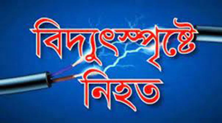 কুলাউড়ায় বিদ্যুৎস্পর্শে শিশুর মৃত্যু