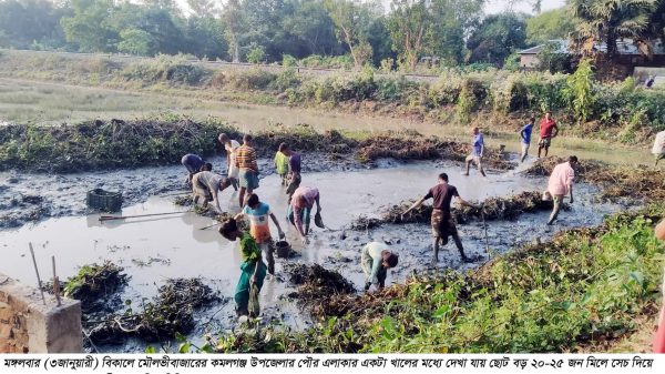 কমলগঞ্জে খাল-বিলে মাছ ধরার উৎসব