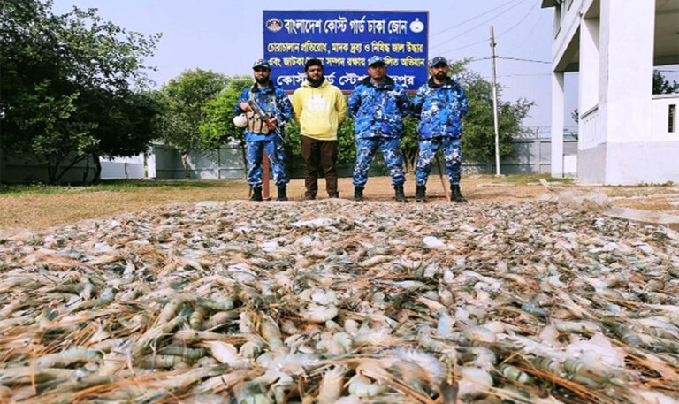 চাঁদপুরে জেলি পুশ করা ১০২০ কেজি চিংড়ি উদ্ধার
