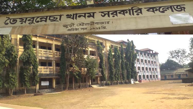 এইচএসসিতে তৈয়বুন্নেছা খানম সরকারি কলেজ থেকে জিপিএ-৫ পেয়েছে ২২ জন    