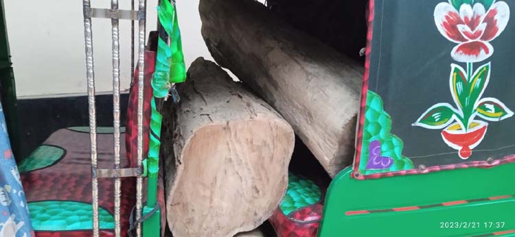 জুড়ীতে সিএনজিসহ সেগুন কাঠ আটক