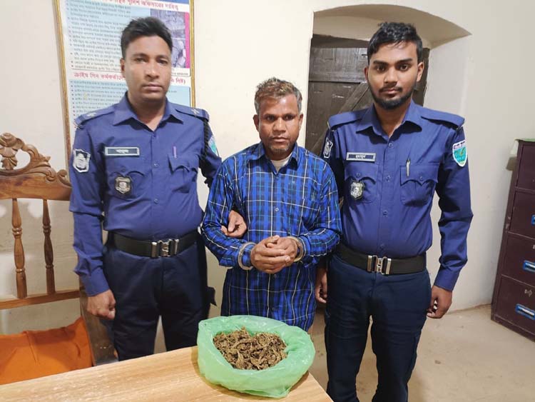 কমলগঞ্জে ৫০০ গ্রাম গাঁজাসহ মাদক ব্যবসায়ী আটক 