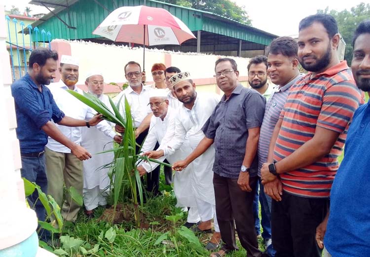 কুলাউড়ায় দুই শতাধিক শিক্ষার্থীদের মধ্যে গাছের চারা বিতরণ