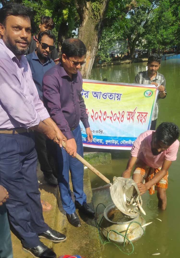 কুলাউড়ায় বিল ও জলাশয়ে সরকারিভাবে মাছের পোনা অবমুক্ত