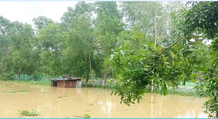 কুশিয়ারা পানি বিপদসীমার কাছাকাছি, জুড়ী নদী বিপদসীমার উপরে