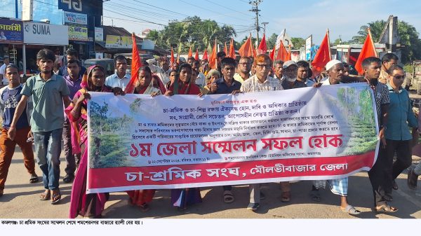 কমলগঞ্জে চা-শ্রমিক সংঘের ১ম জেলা সম্মেলন অনুষ্ঠিত