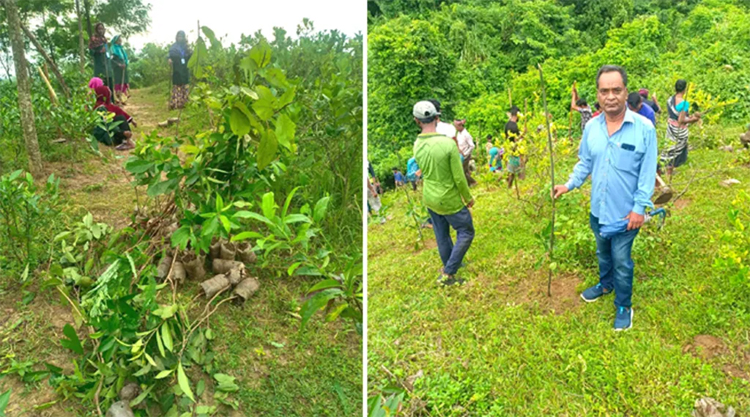 সাবেক কৃষিমন্ত্রী আব্দুস শহীদের দখলে থাকা লাউয়াছড়ার জায়গা উদ্ধার