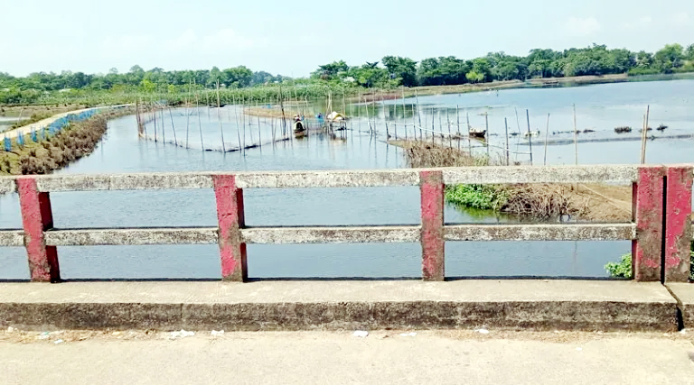 বড়লেখায় জালিয়াতির মাধ্যমে চলমান নদীকে বদ্দ বিল দেখিয়ে ইজারা