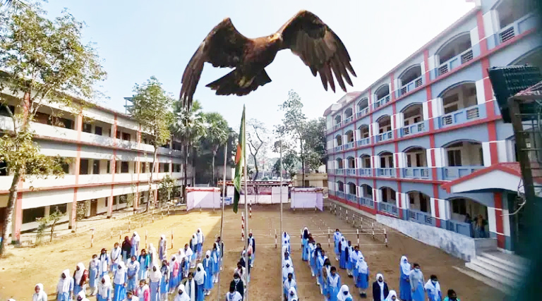 মৌলভীবাজারে চিল পাখির আক্রমণে স্কুলছাত্রী আহত