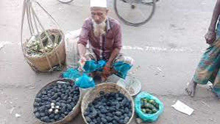 হাওর থেকে শালুক শাপলা ভ্যাট সংগ্রহ করে বিক্রি হচ্ছে শহরে এভাবেই চলছে শতাধিক সংসার