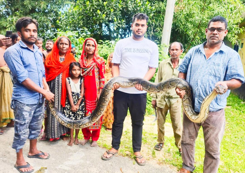 শ্রীমঙ্গলে শ্মশানঘাটে ধরা পড়ল ১৪ ফুট লম্বা অজগর