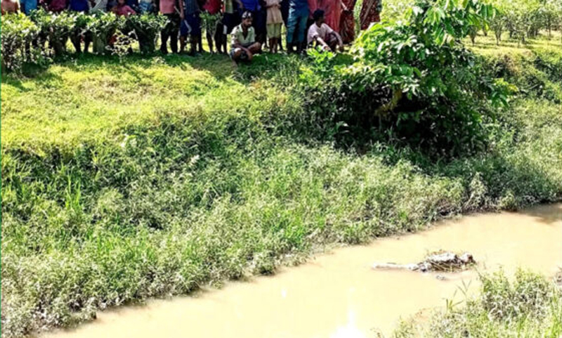 কুলাউড়ার পাহাড়ী ছড়ায় মিলল চা শ্রমিকের লাশ